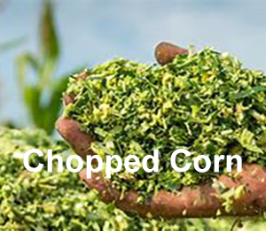 Chopped Corn